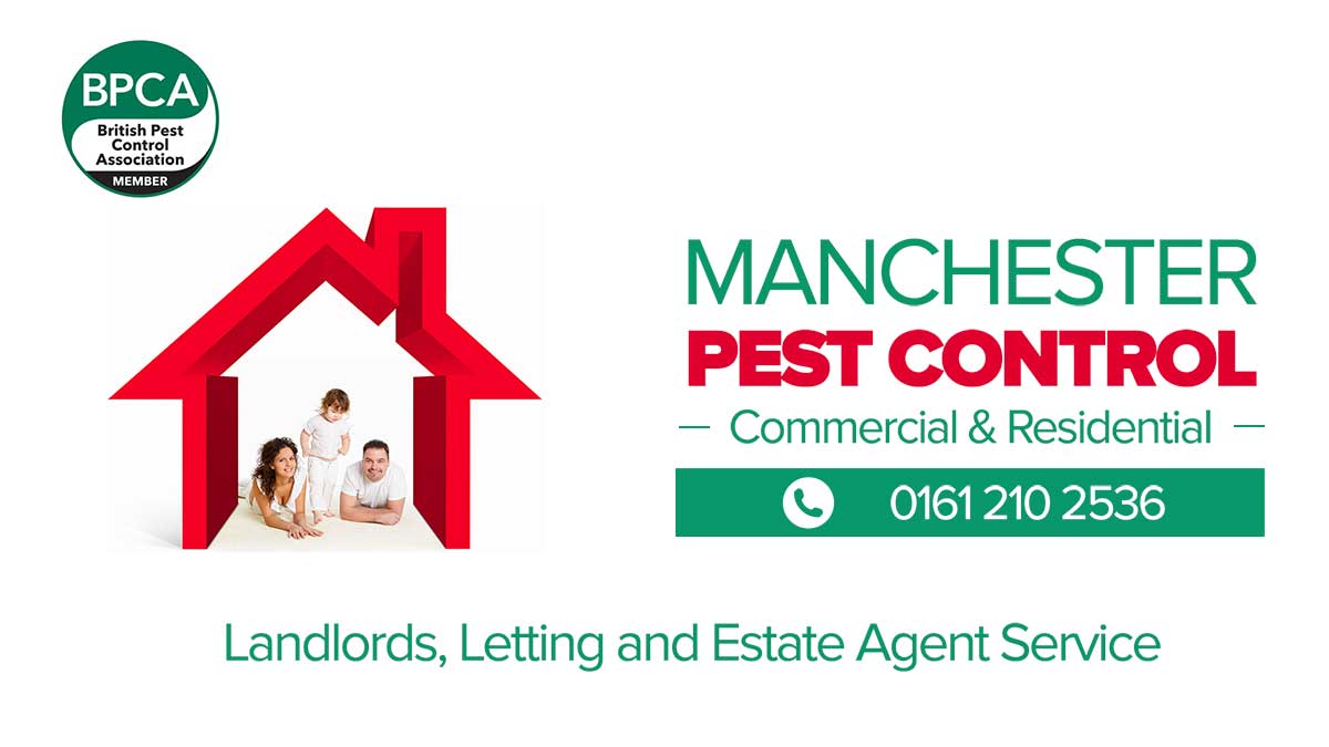 Landlords Pest Control Manchester Landlords Pest Control Manchester