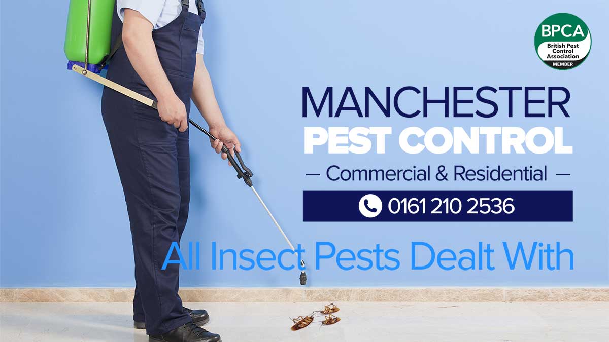 Pest Control Manchester Pest Control Manchester
