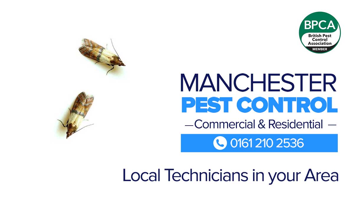 Bannermoth moth pest control Manchester