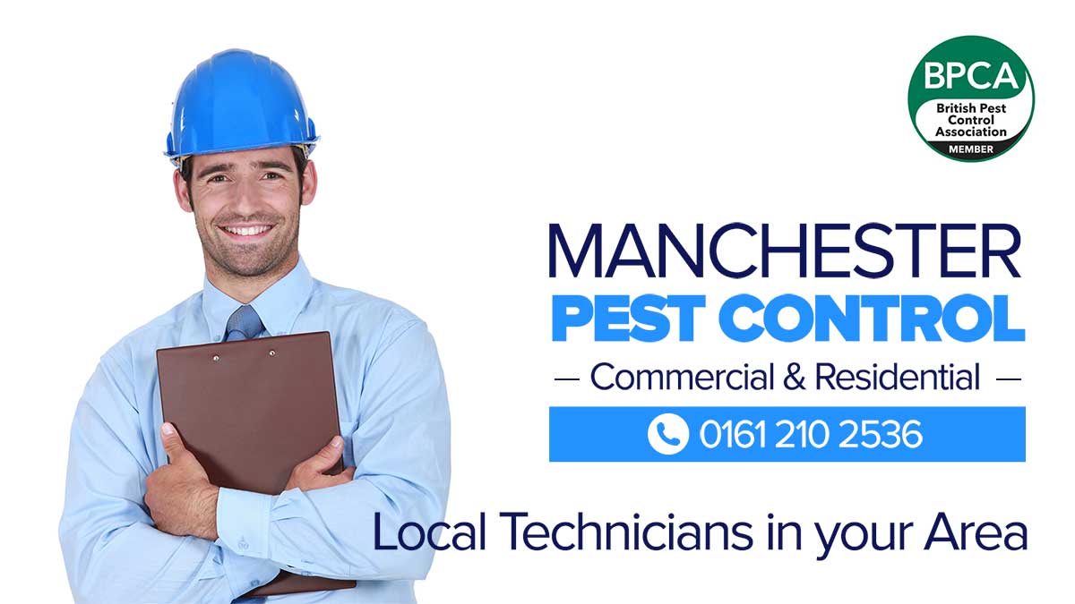 Bannersurvmin Pest Control Manchester