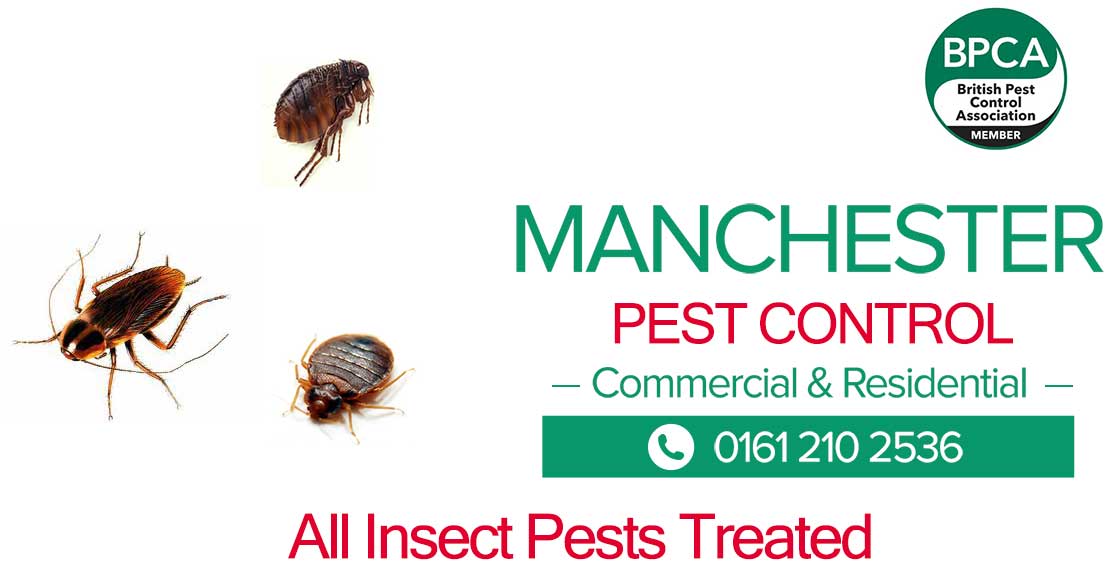 Pest control for insects