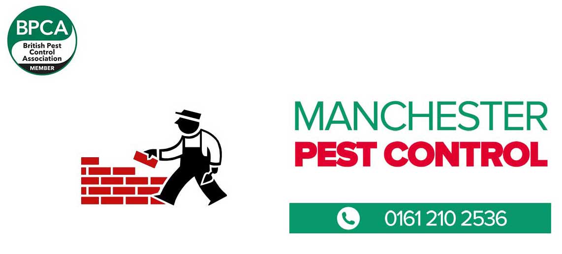 pest-control-for-construction-sites Pest control for construction sites