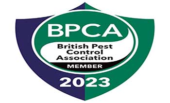 BPCA member pest control Manchester